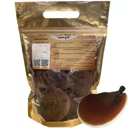 قارچ گانودرما (100 گرمی) قرمز