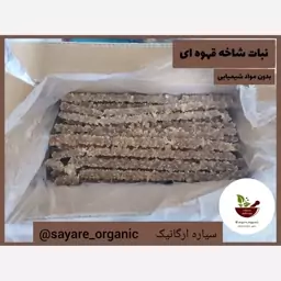 نبات قهوه ای شاخه محصولی از نیشکر 