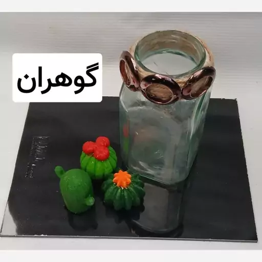 گلجا با کاکتوس سنگی 