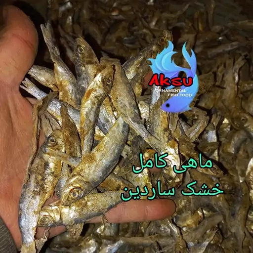 ماهی کامل  ساردین  خشک  200 گرمی ماهی  مانستر گوشتخوار لاک پشت طعمه ماهیگیری تشویقی 