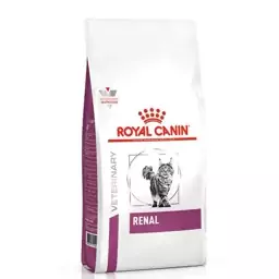 غذای خشک گربه رویال کنین رنال Royal Canin Renal