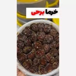 خرما برحی کمیاب تازه و خوشمزه 3کیلویی