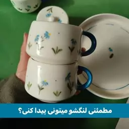 ست چایخوری سرامیکی دونفره گل آبی