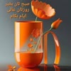 ملودی مارکت