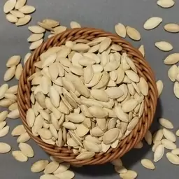 تخمه کدو گوشتی برشته سنتی یاقوت سبز (500گرمی)