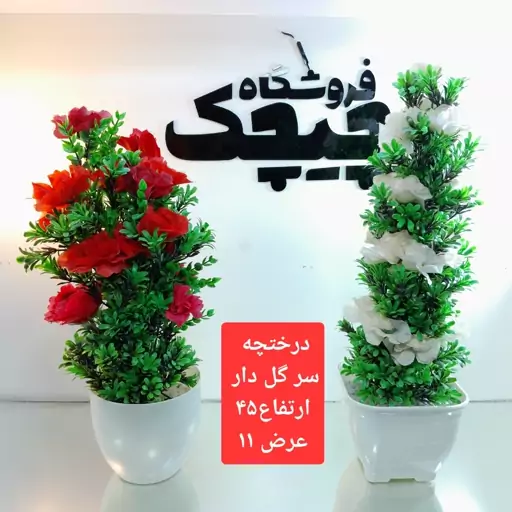 درختچه سرگل داره ایرانی 