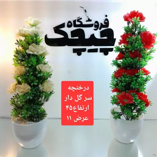 درختچه سرگل داره ایرانی 