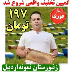 عسل چهل گیاه کوهی درجه یک شفاهیر 197تومان(مستقیم از زنبوردار)(ارسال فوری)(وزن خالص یک کیلو)