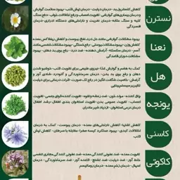 عرق نعناء سنگین