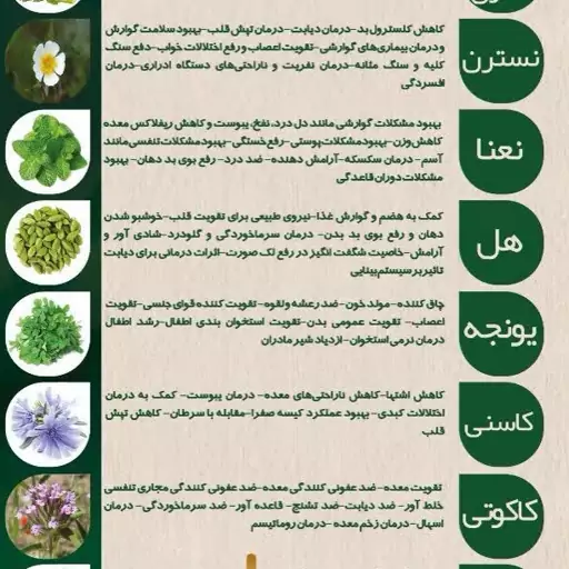 عرق نعناء سنگین