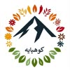 ادویه جات کوهپایه