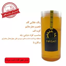 عسل چهل گیاه دشت خالص ساکارز 2(مستقیم از زنبوردار خرید کنید)