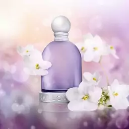 عطر ادکلن هالووین بنفش زنانه 