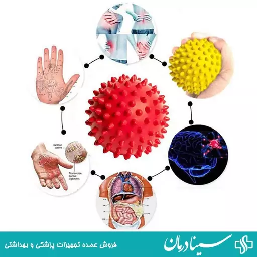 توپ ماساژ خاردار توپ ماساژور دستی خار دار توپ دست ورز سینادرمان فروشگاه اینترنتی اقلام  مصرفی پزشکی درمانی طبی    402217