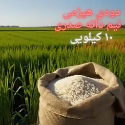 برنج نیم دانه دودی صدری درجه یک 10 کیلویی اعلاء