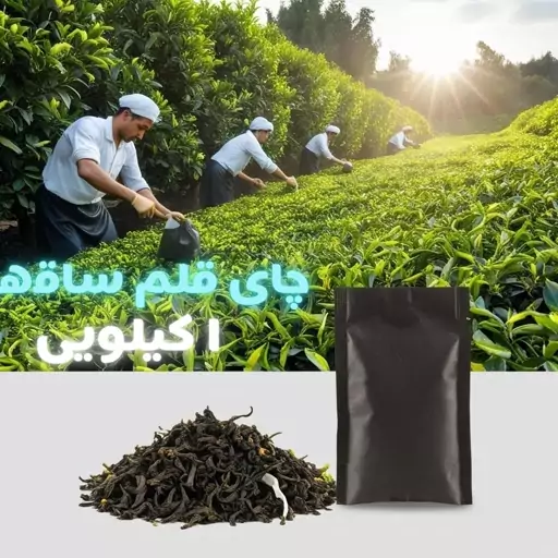 چای ساقه قلم سه چوب (نمونه) 1 کیلویی اعلاء 