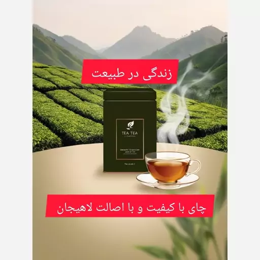 چای ساقه قلم سه چوب (نمونه) 1 کیلویی اعلاء 