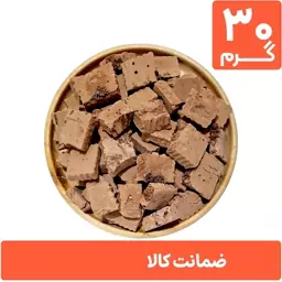 بستنی خشک نوتلا شکلات پفکی 30 گرمی (فریز درایر freeze-dried)