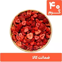 توت فرنگی خشک پفکی 40 گرمی (فریز درایر freeze-dried)