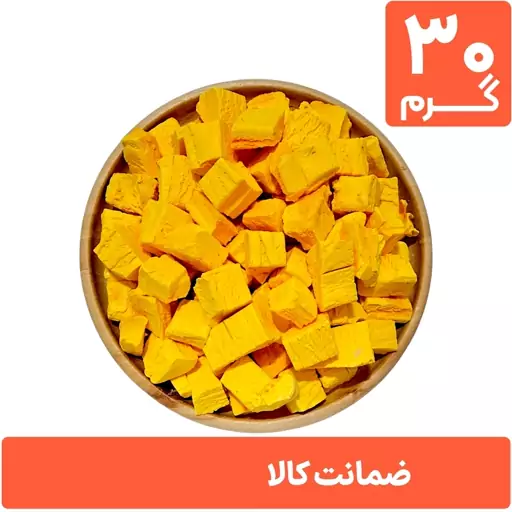 بستنی خشک انبه پفکی 30 گرمی (فریز درایر freeze-dried)