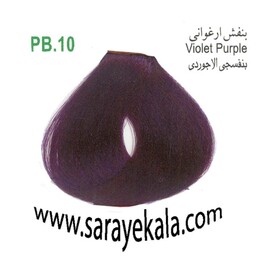 رنگ مو آرکیا (Arkia) PB10 بنفش ارغوانی 