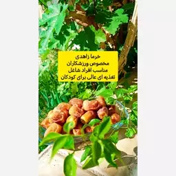 خرما زاهدی بسته 1کیلویی