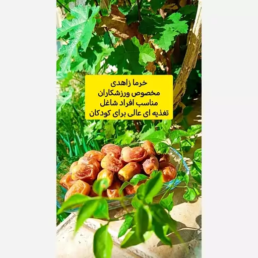 خرما زاهدی بسته 1کیلویی