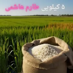 برنج طارم هاشمی ممتاز شمال امساله 5 کیلویی اعلاء 