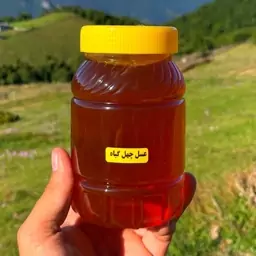 عسل چهل گیاه لرستان نیم کیلویی