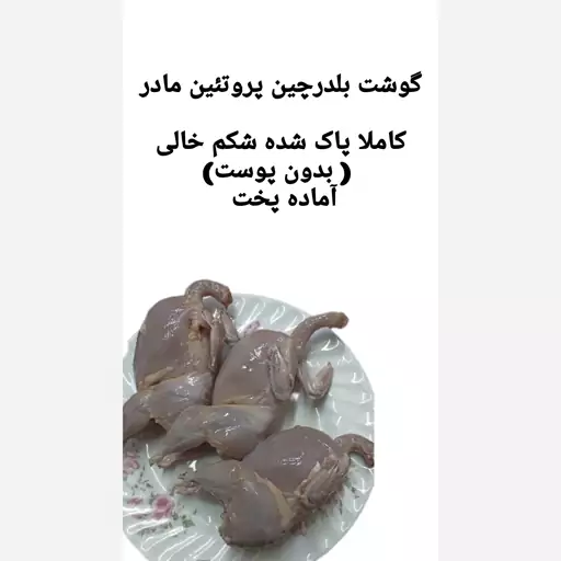 گوشت بلدرچین  سنگین وزن بسته 1 کیلویی پاک شده بدون پوست