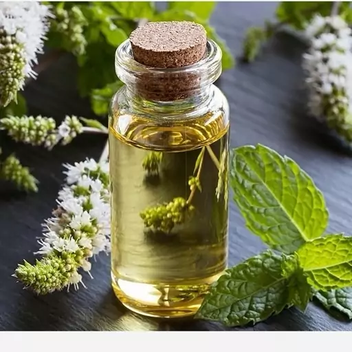 روغن نعناع اصل حکیم 30 سی سی