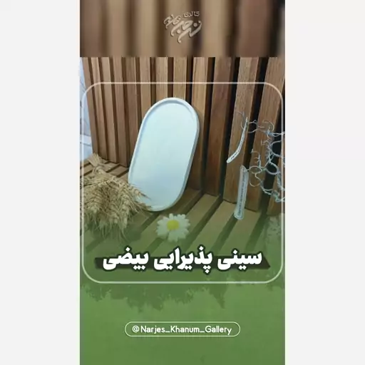 سینی پذیرایی بیضی سایز متوسط  (ارسال پسکرایه)