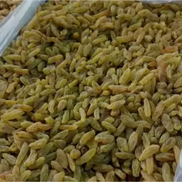 کشمش سبز عسگری ، آدامسی و تازه