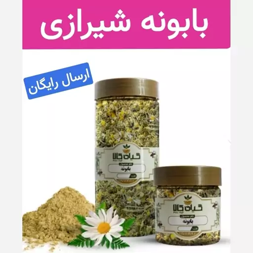 بابونه شیرازی اصل (رفع زخم معده.بهبود خواب.مقوی معده)50 گرمی