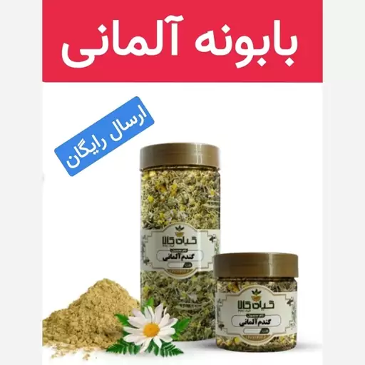 بابونه آلمانی 