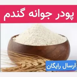 پودر جوانه گندم (ضد میکروبی شده بسته بندی در ظروف آنتی باکتریال)