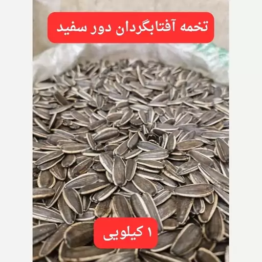 تخمه آفتابگردان دور سفید تازه 1 کیلویی اعلاء 