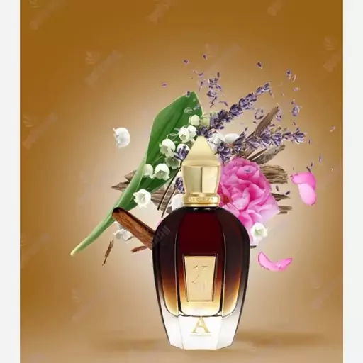 عطر الکساندریا زنانه و مردانه اصل