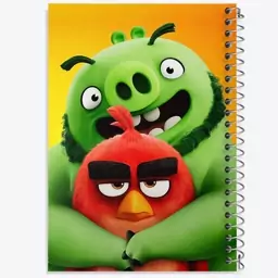 دفتر نقاشی 50 برگ خندالو طرح پرندگان خشمگین Angry Birds  کد 13867