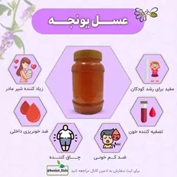 عسل طبیعی یونجه (نیم کیلویی خالص)