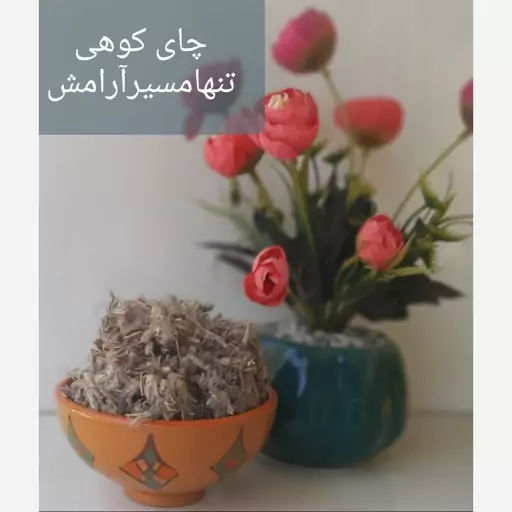 چای کوهی نشاط آور و آرام بخش تنهامسیر آرامش