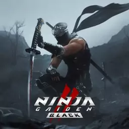 بازی کامپیوتری NINJA GAIDEN 2 Black