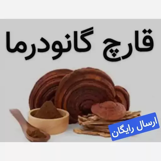 قارچ گانودرما (سورت شده.بسیار تمیز.ضدمیکروبی شده)100گرمی