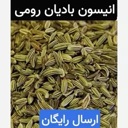 انیسون بادیان رومی (سورت شده.ممتاز.ضد میکروبی شده)100 گرمی