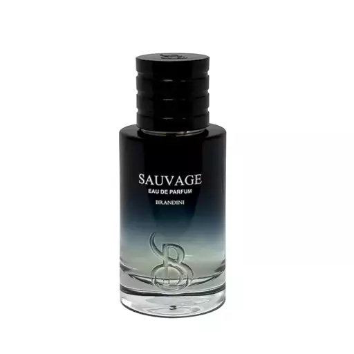 ادکلن مردانه برندینی دیور ساواج Sauvage