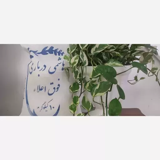 برنج هاشمی درباری