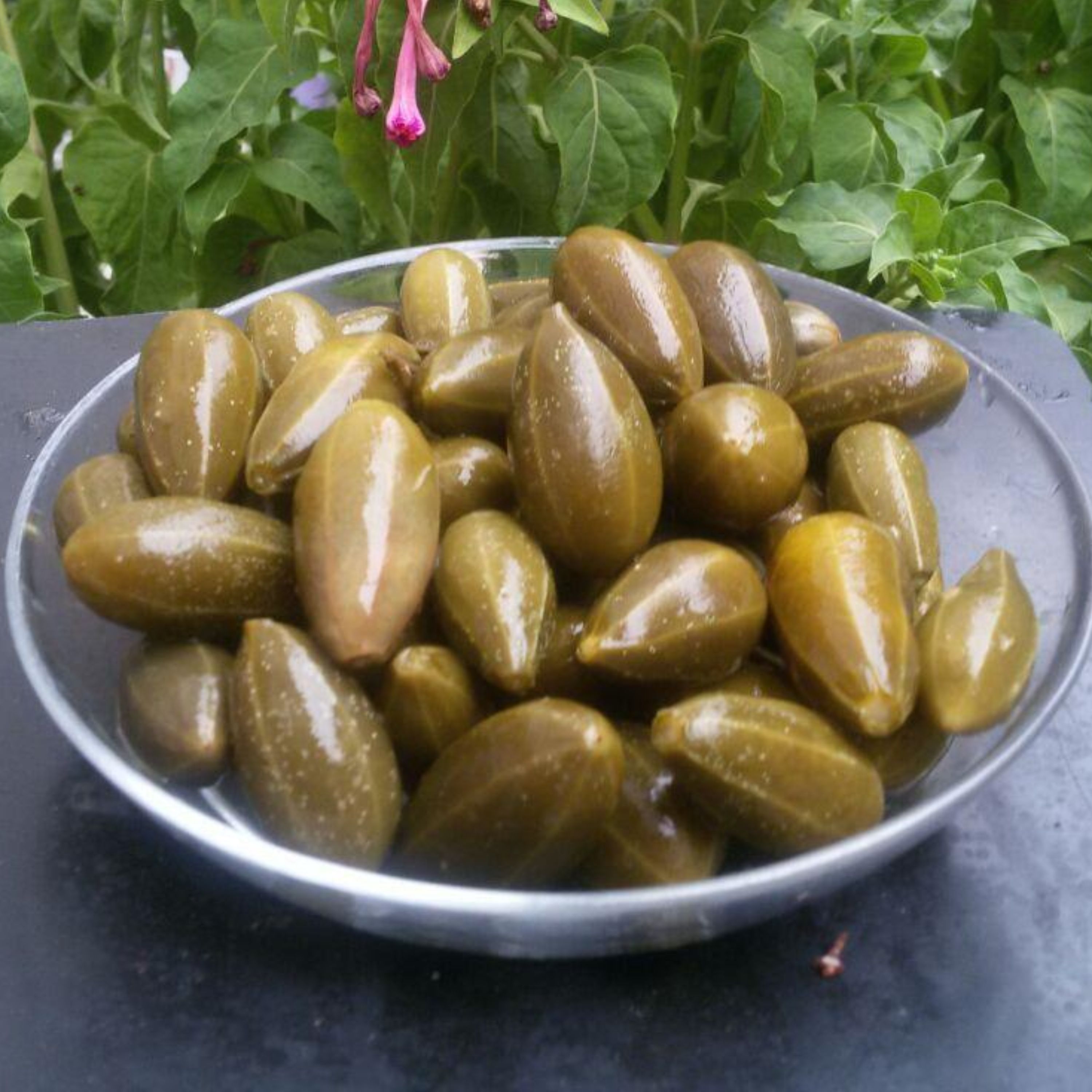 ترشی خیار متوسط کبر وزن650 گرمی