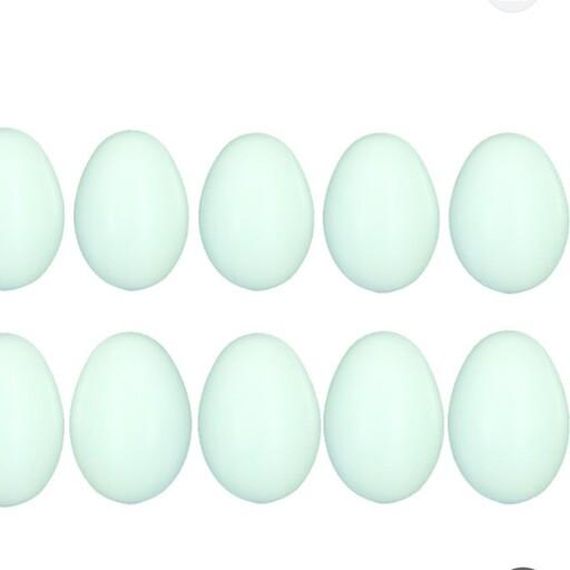 تخم مرغ پلاستیکی دهتایی(ابعاد به اندازه تخم مرغ طبیعی میباشد) 