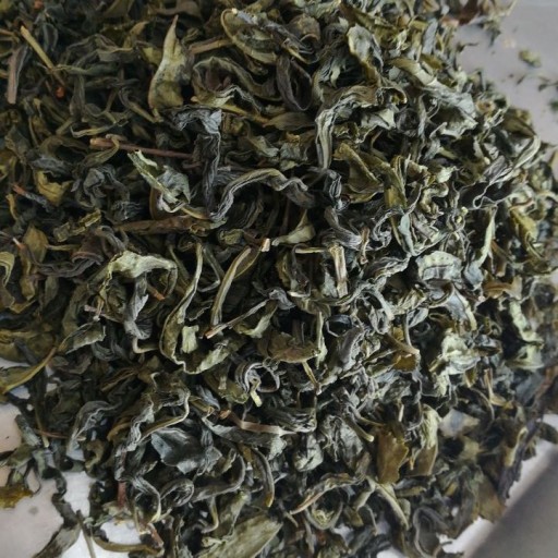چای سبز لاهیجان- بهاره 99