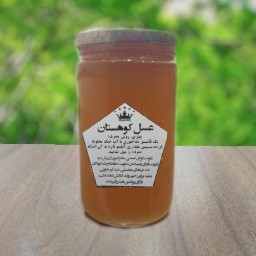 عسل صادراتی کوهستان با ساکاروز پایین و پرولین بالا(900گرمی)
